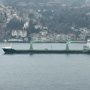 MV SWAN S